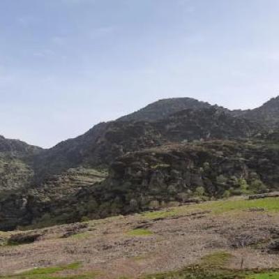 مخمل کوه لرستان ، سفری به قلب طبیعت مینیاتوری ایران